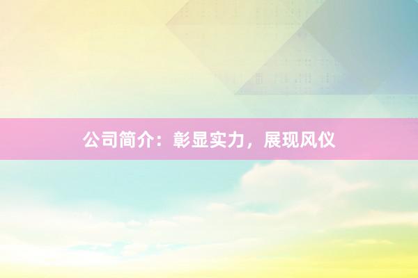 公司简介:彰显实力,展现风仪